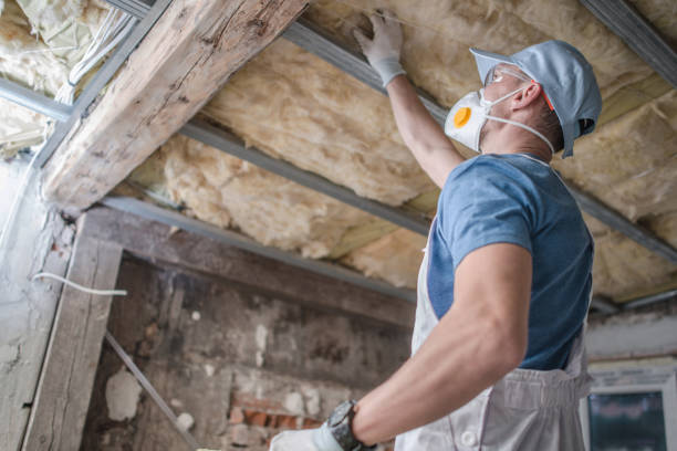 Best Local Insulation Services  in Bryson City, NC