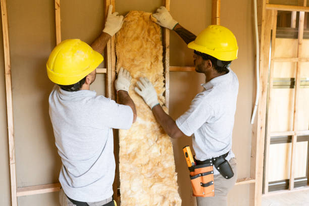 Best Wall Insulation Contractor  in Bryson City, NC