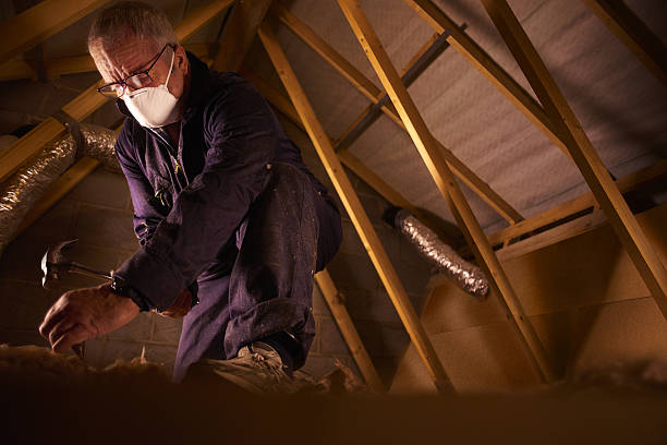 Best Insulation Contractor Near Me  in Bryson City, NC