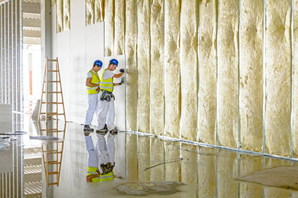 Best Best Insulation Companies  in Bryson City, NC
